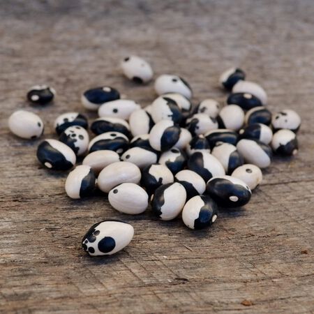 Calypso, Bean Seeds - Packet (1 oz.) image number null